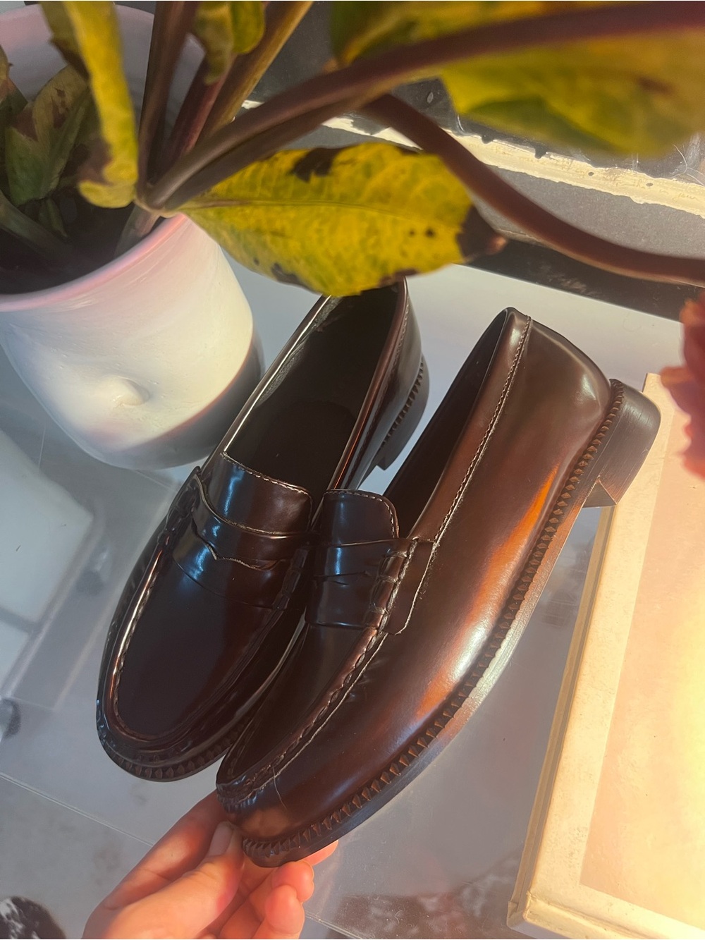 Elba Penny Loafer - Freda Salvador - Espresso Spazzolato